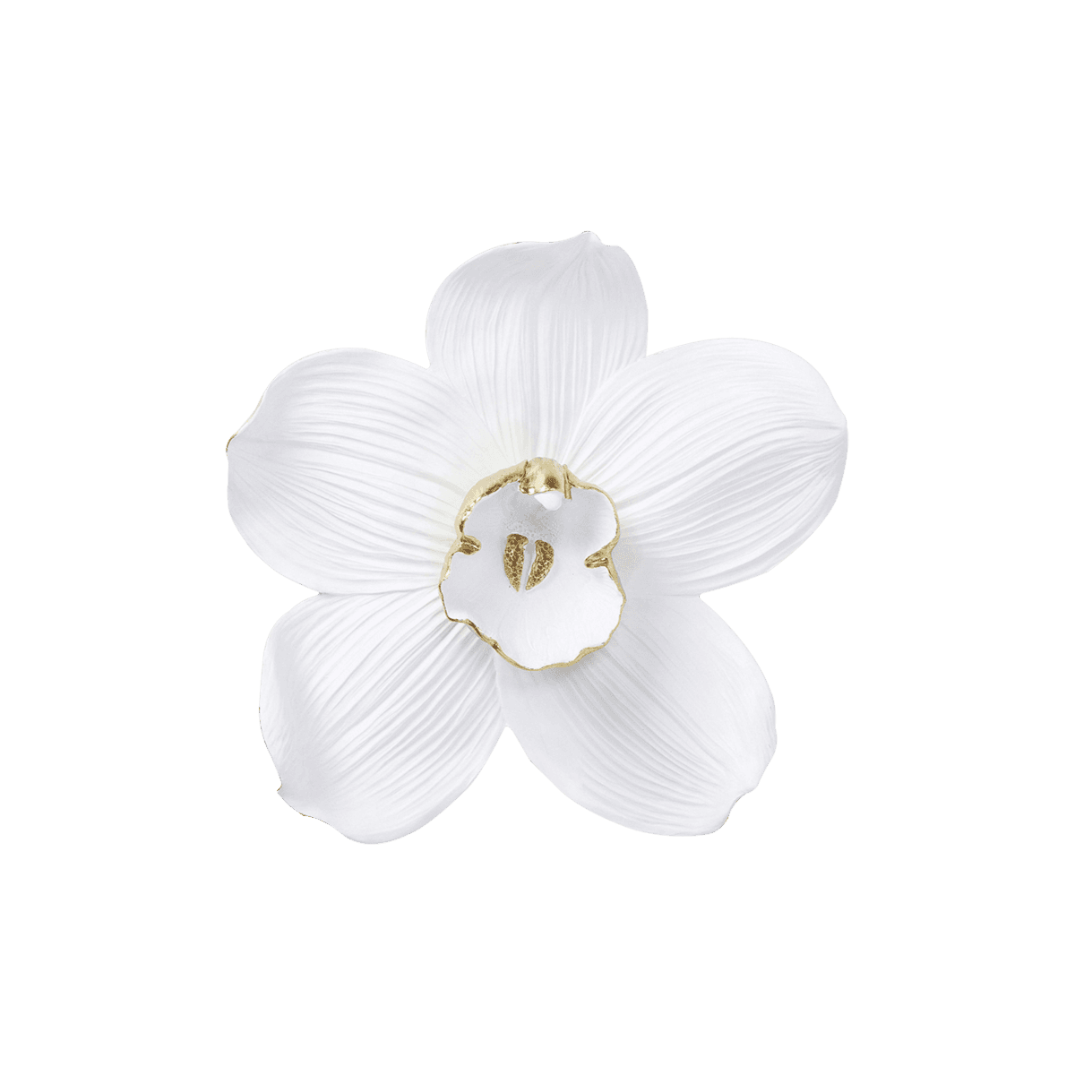 Wall Decoration Orchid - White 54cm