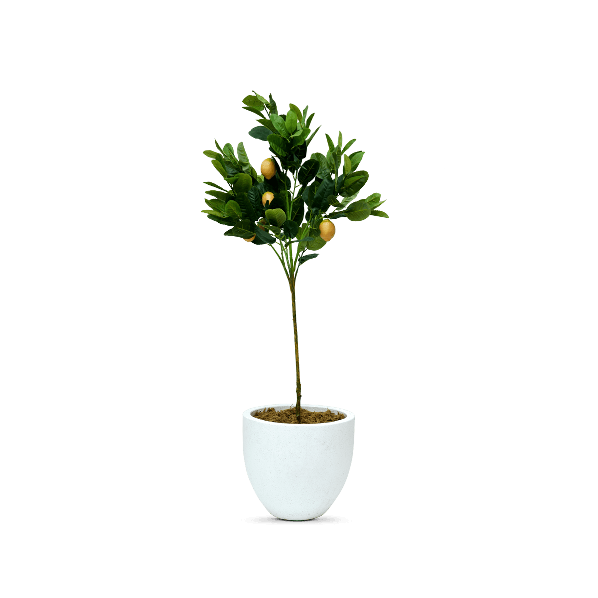 Artificial Lemon Tree With Pot 120Cm